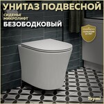 Превью фото №1  Унитаз Teymi Унитаз подвесной Ellie безободковый, сиденье Дюропласт микролифт T40802