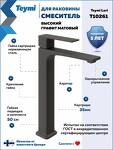 Превью фото №17  Teymi Смеситель для раковины Lori высокий, графит матовый T10261