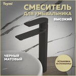 Превью фото №1  Teymi Смеситель для раковины Ellie высокий, черный матовый T10210