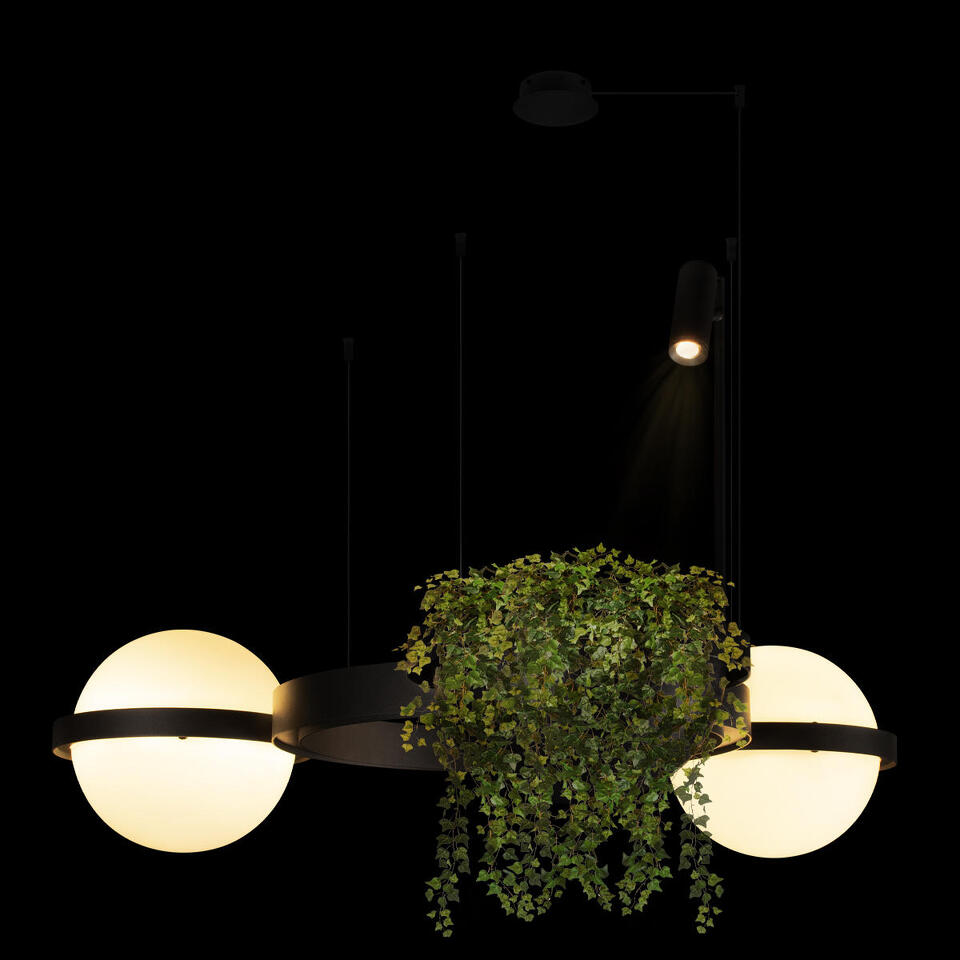 Фото №8  Подвесной светильник 10121/2 Подвесной светильник LOFT IT Jardin