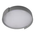 Превью фото №3  10200 Grey Потолочный светильник LOFT IT Coin