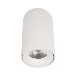 Превью фото №1  10220 White 4000K Потолочный светильник LOFT IT Tictac