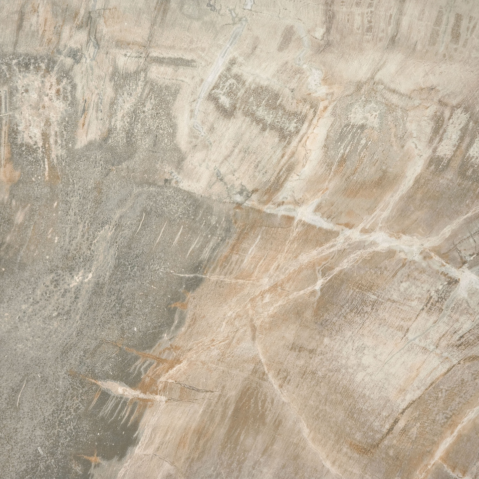 Фото №1  Плитка ABK Керамическая плитка FOSSIL BEIGE NAT 50x50