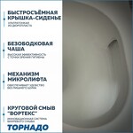 Превью фото №3  Унитаз Teymi Унитаз приставной Lina HD безободковый, сиденье Дюропласт микролифт T40104