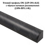 Превью фото №3  PULSE Заглушка торцевая для СМ1/CM2, черная (LSPA-CAP-CM1/2-BL)