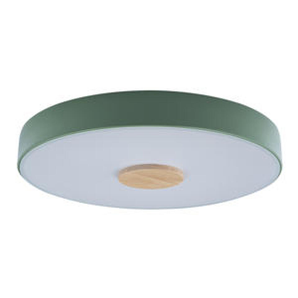 Фото №5  10003/24 Green Потолочный светильник LOFT IT Axel