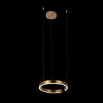 Превью фото №2  Подвесной светильник 10013S Подвесной светильник LOFT IT Ring