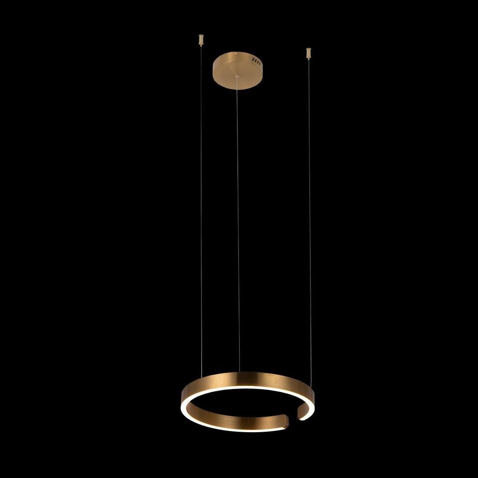 Фото №6  Подвесной светильник 10013S Подвесной светильник LOFT IT Ring