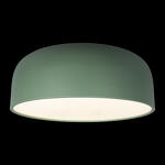 Превью фото №2  10201/480 Green Потолочный светильник LOFT IT Axel