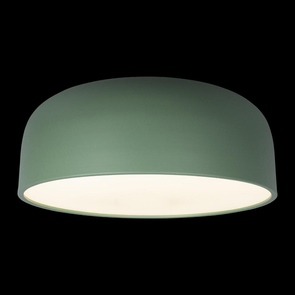 Фото №6  10201/480 Green Потолочный светильник LOFT IT Axel