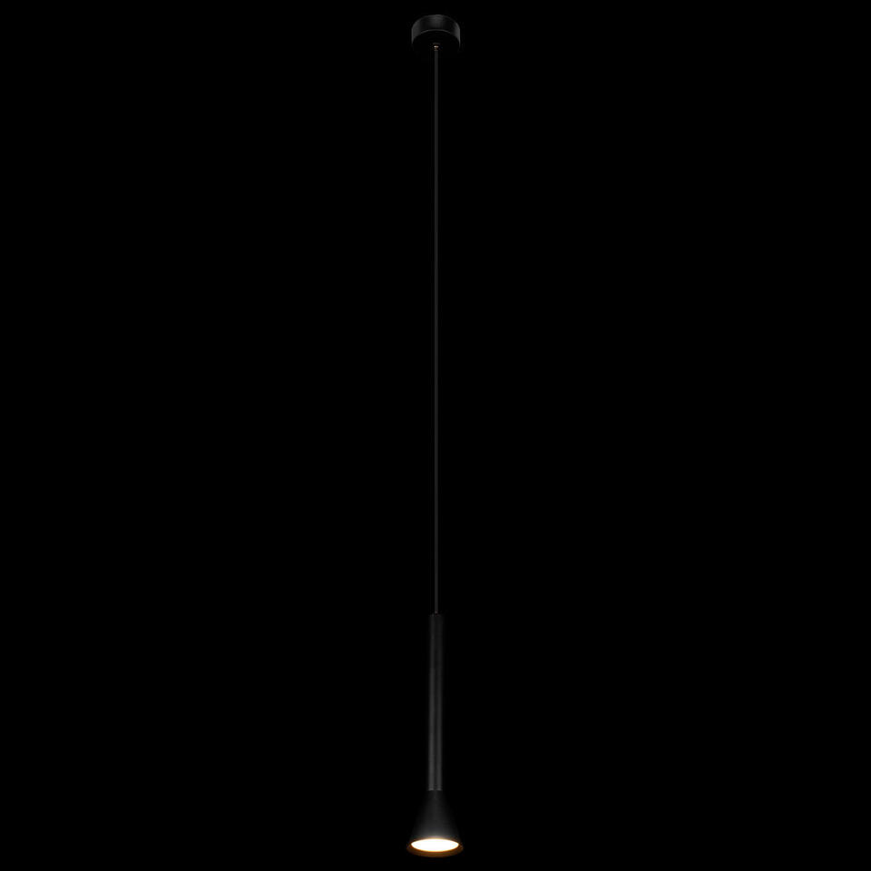 Фото №6  Подвесной светильник 10337/250 Black Подвесной светильник LOFT IT Pipe
