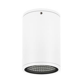 Фото Arlight Светильник LGD-FORMA-SURFACE-R90-12W Day4000 (WH, 44 deg, 230V) ( IP54 Металл, 3 года)