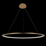 Превью фото №4  Подвесной светильник 10014XL Подвесной светильник LOFT IT Ring