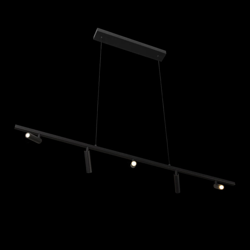 Фото №7  Подвесной светильник 10260/5 Black Подвесной светильник LOFT IT Sign