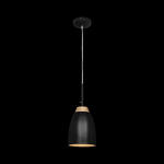 Превью фото №2  Подвесной светильник LOFT4402A-BL Подвесной светильник LOFT IT Watchman