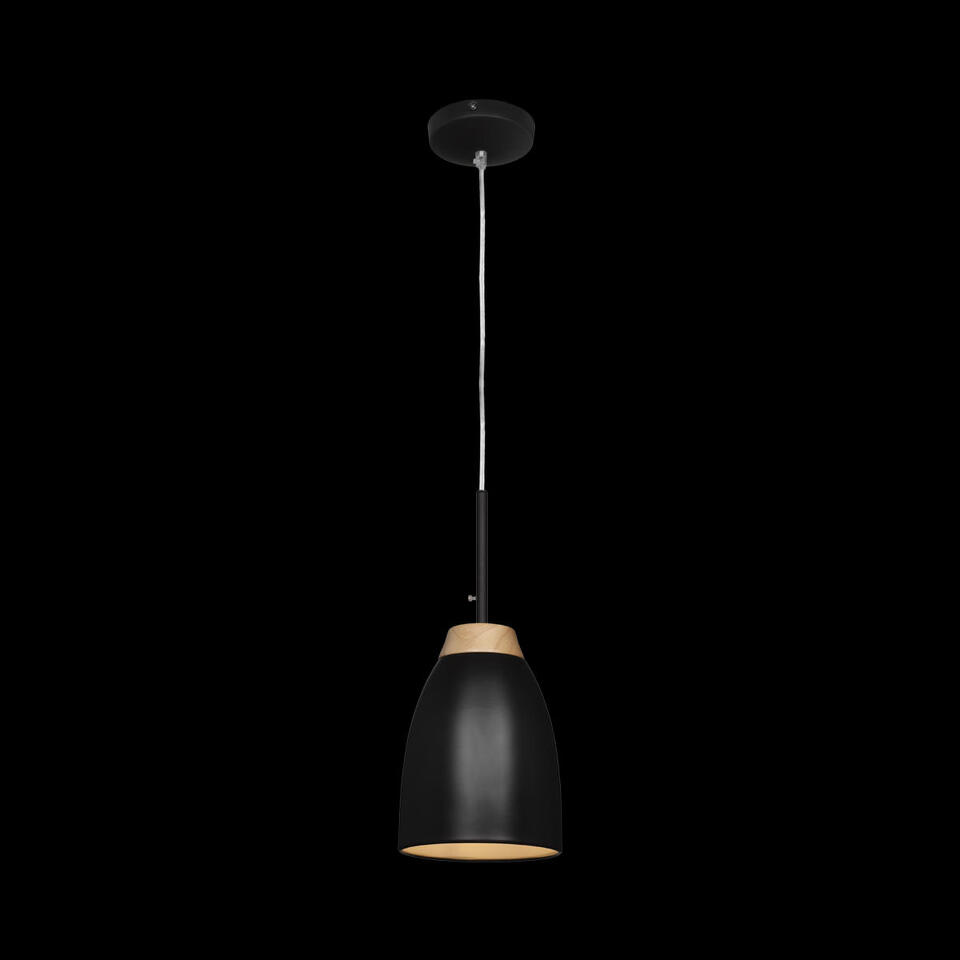 Фото №3  Подвесной светильник LOFT4402A-BL Подвесной светильник LOFT IT Watchman