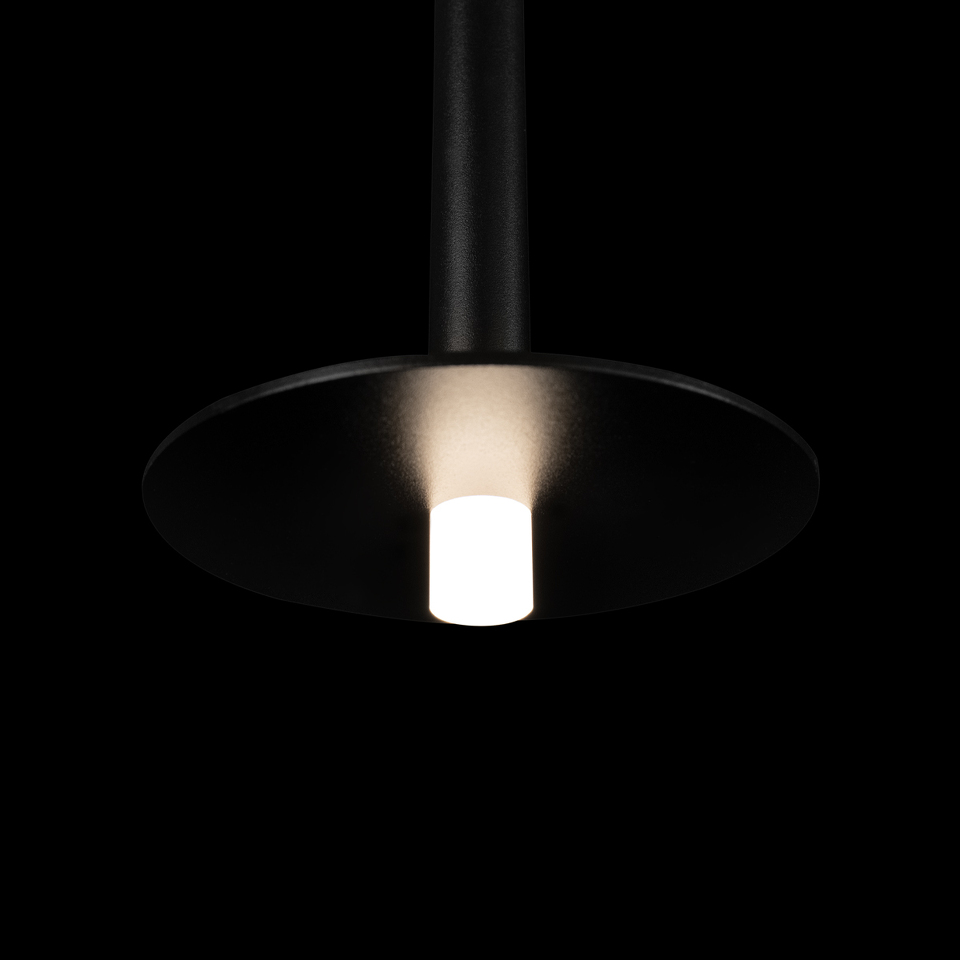 Фото №9  Подвесной светильник 10358/830 Disk Подвесной светильник LOFT IT Reed