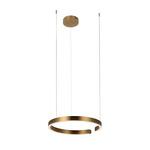Превью фото №5  Подвесной светильник 10013M Подвесной светильник LOFT IT Ring