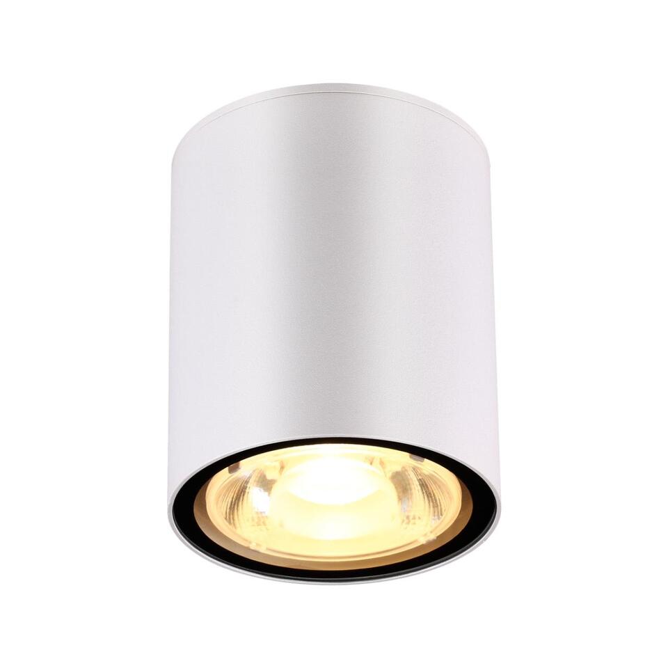 Фото №3  NOVOTECH 358012 STREET NT19 700 белый Ландшафтный светильник IP65 LED 3000К 6W 220V TUMBLER