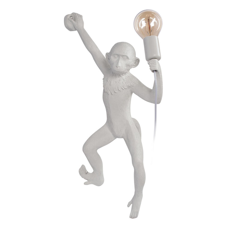 Фото №8  10314W/B Настенный светильник LOFT IT Monkey
