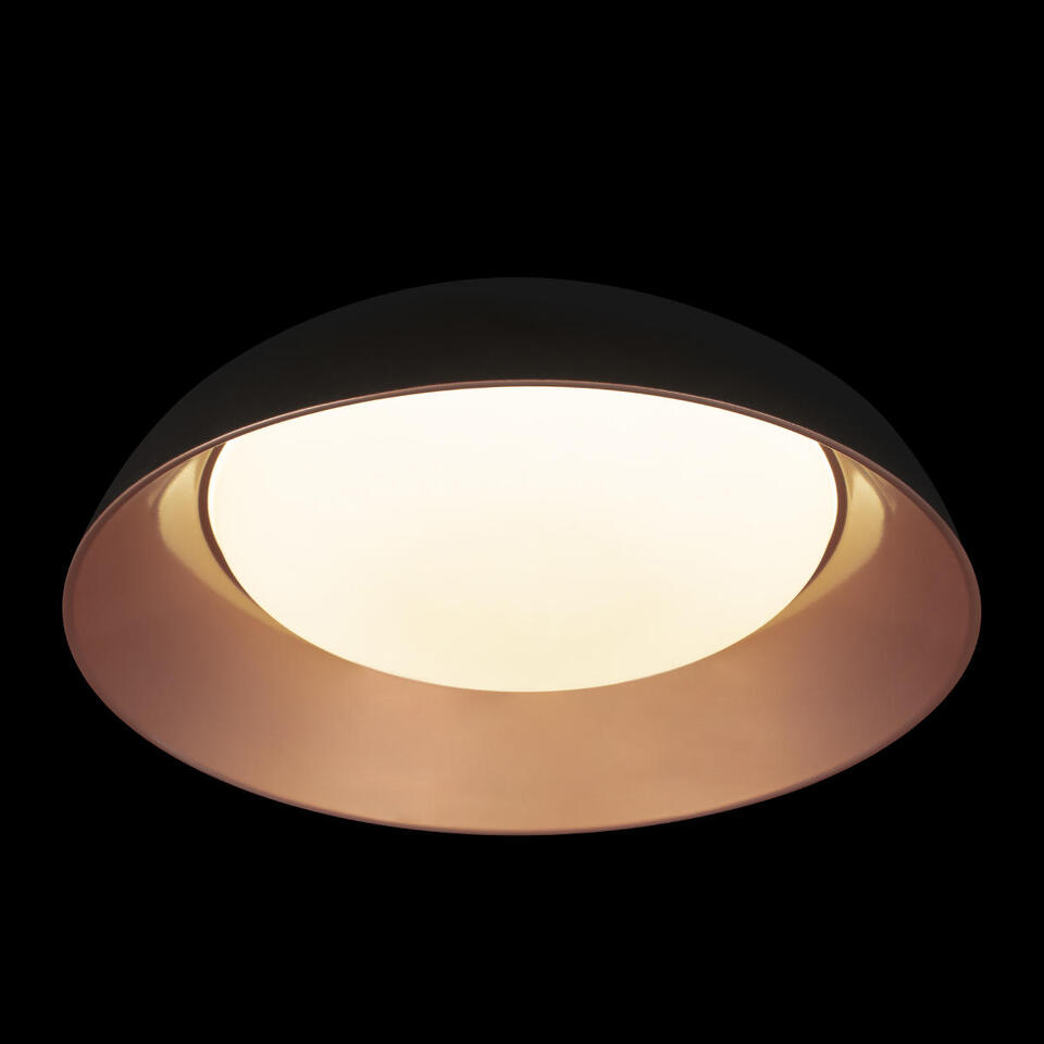 Фото №6  10229 Black Потолочный светильник LOFT IT Cappello