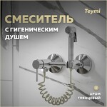 Превью фото №1  Teymi Смеситель с гигиеническим душем Martta, хром T10268