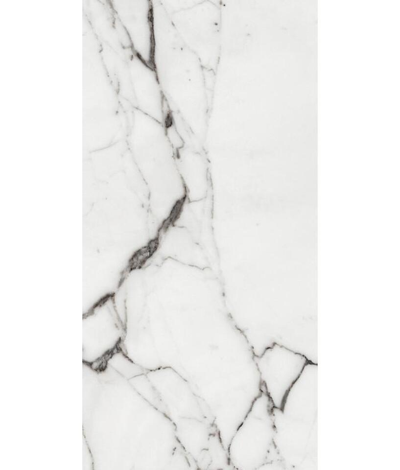Фото №26  REX Керамогранит LES ORIGINES DE REX ARGENT GLOSSY 60X120