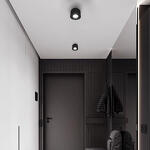 Превью фото №6  10219 Black 4000K Потолочный светильник LOFT IT Tictac