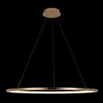 Превью фото №2  Подвесной светильник 10014XL Подвесной светильник LOFT IT Ring
