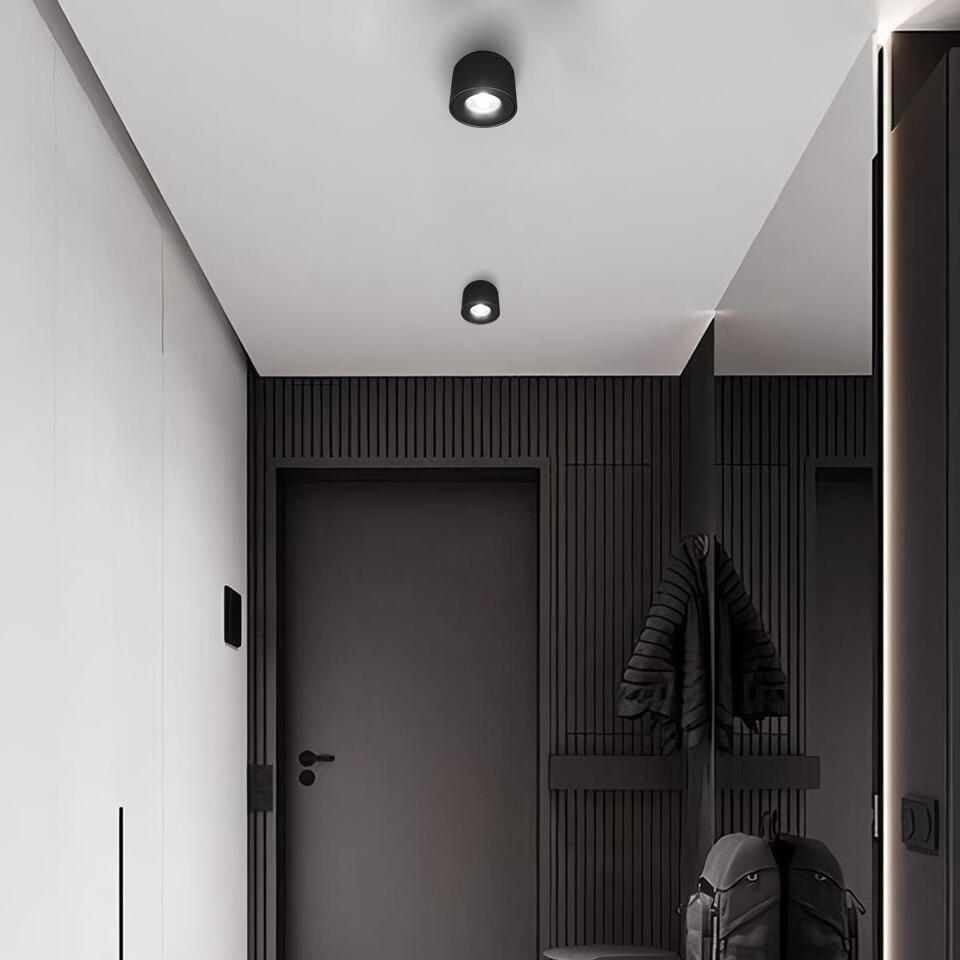 Фото №7  10219 Black 4000K Потолочный светильник LOFT IT Tictac
