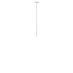 Превью фото №3  10359/600 White Потолочный светильник LOFT IT Cane