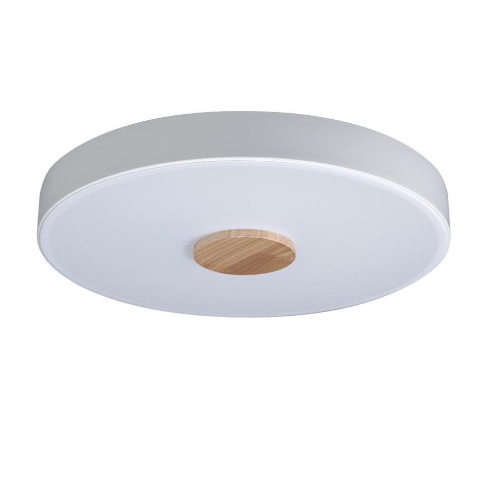 Фото №5  10003/24 White Потолочный светильник LOFT IT Axel