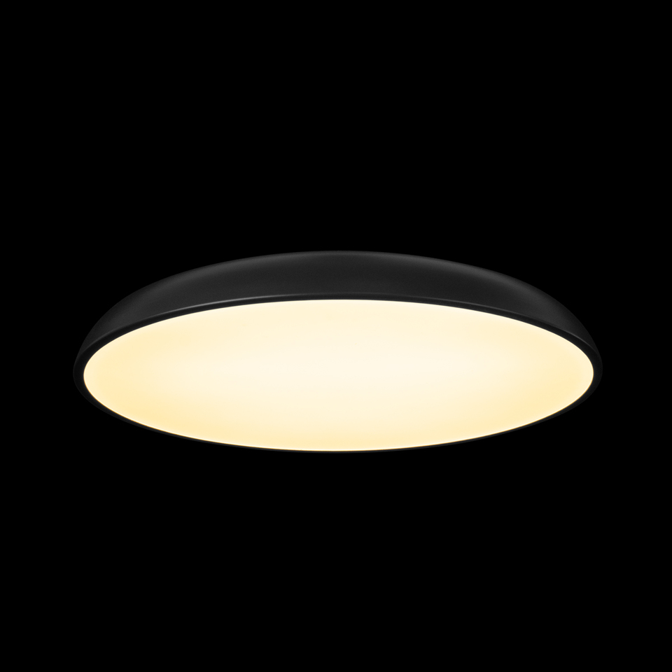 Фото №7  10371 Black Потолочный светильник LOFT IT Dime