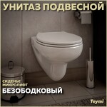 Превью фото №1  Унитаз Teymi Унитаз подвесной Hanna Pro безободковый, сиденье микролифт T40901