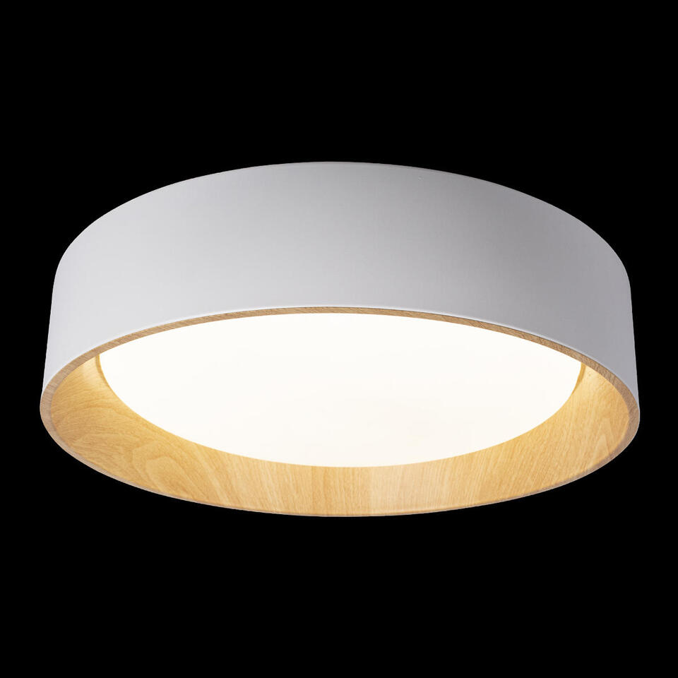 Фото №6  10202 White Потолочный светильник LOFT IT Coin