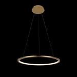 Превью фото №2  Подвесной светильник 10014M Подвесной светильник LOFT IT Ring