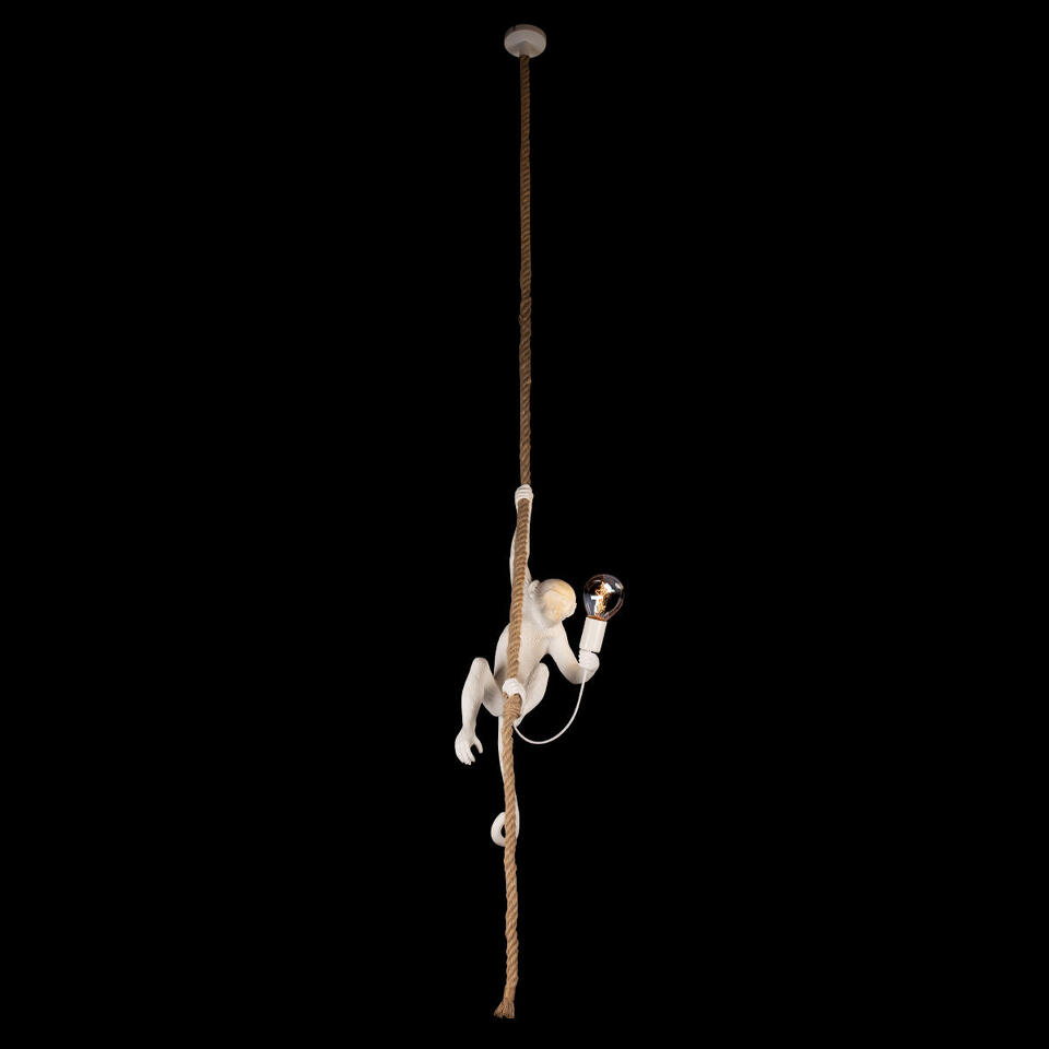 Фото №10  Подвесной светильник 10314P Подвесной светильник LOFT IT Monkey