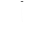 Превью фото №3  10359/600 Black Потолочный светильник LOFT IT Cane