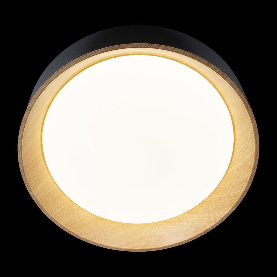 Фото №6  10202 Black Потолочный светильник LOFT IT Coin