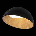Превью фото №2  10197/500 Black Потолочный светильник LOFT IT Egg