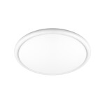 Превью фото №1  10454/400 White Потолочный светильник LOFT IT Sweety