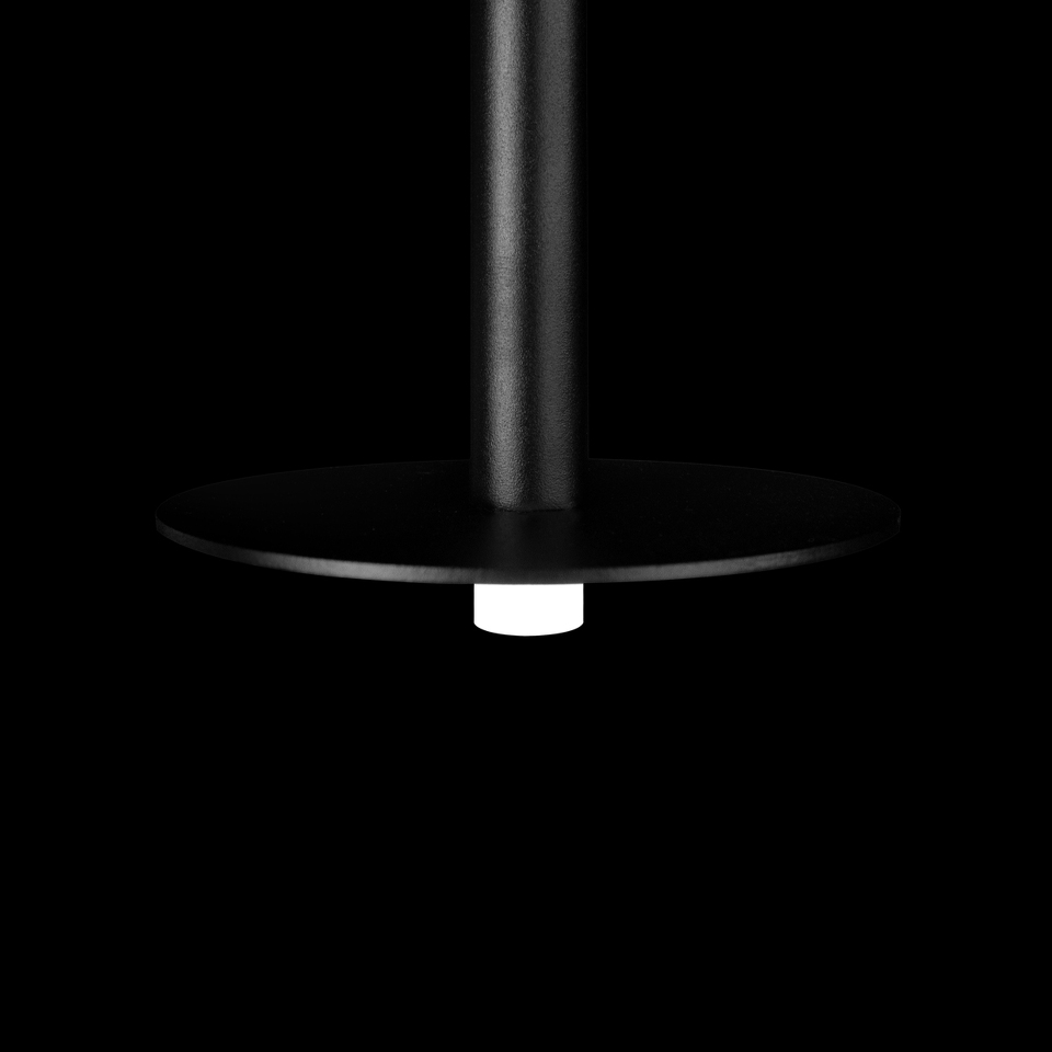 Фото №9  Подвесной светильник 10358/830 Disk Подвесной светильник LOFT IT Reed