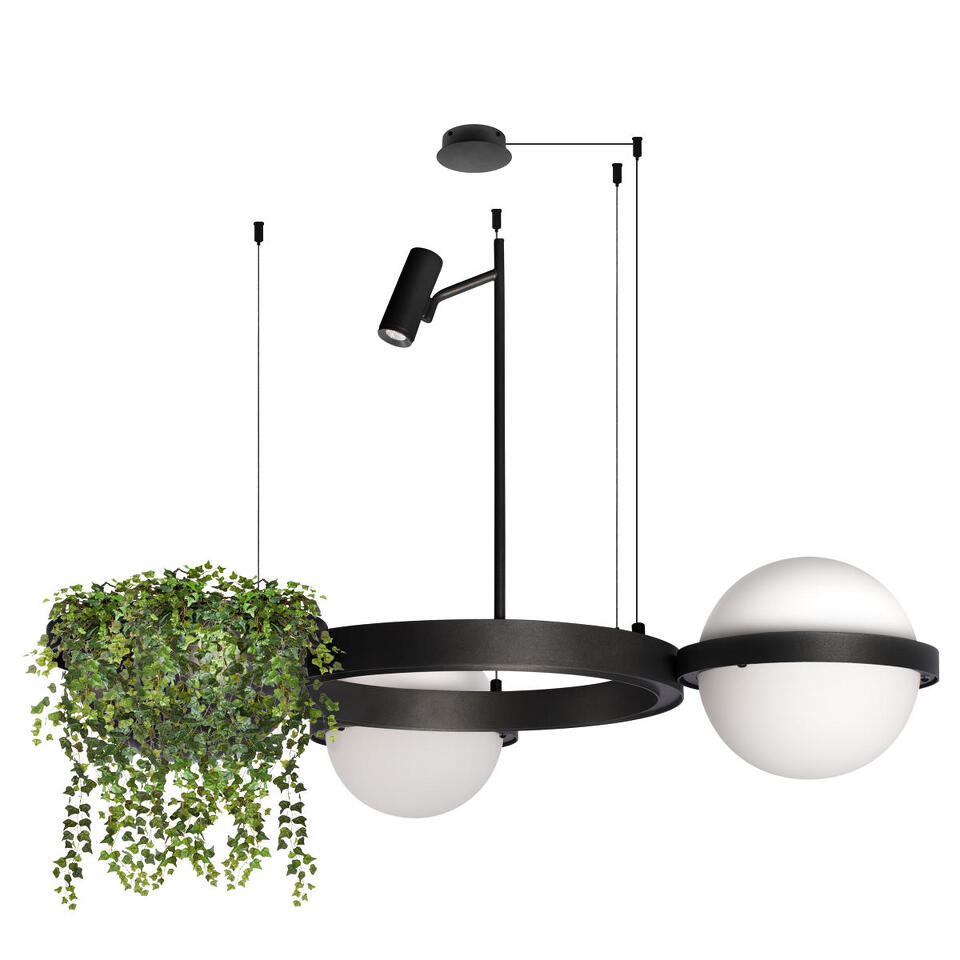 Фото №8  Подвесной светильник 10121/2 Подвесной светильник LOFT IT Jardin