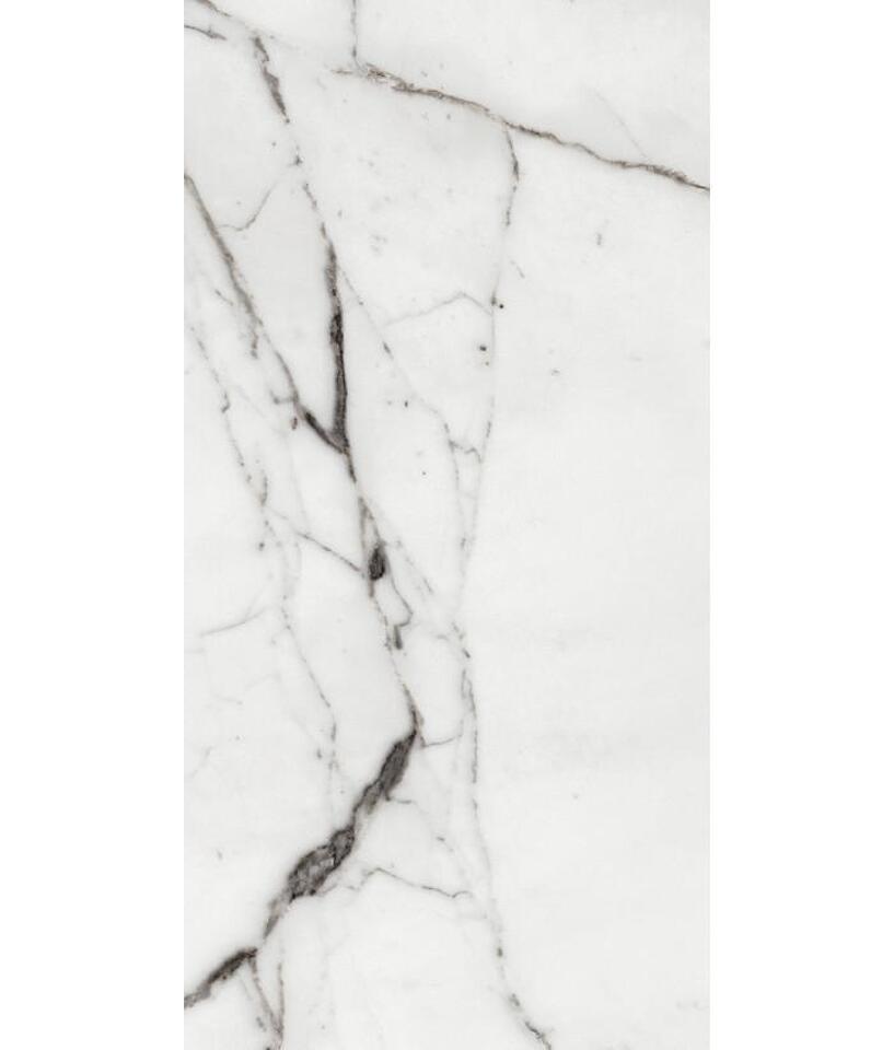Фото №26  REX Керамогранит LES ORIGINES DE REX ARGENT GLOSSY 60X120