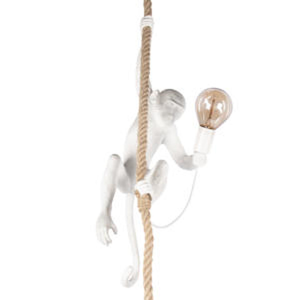 Фото №10  Подвесной светильник 10314P Подвесной светильник LOFT IT Monkey