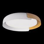 Превью фото №2  10198 White Потолочный светильник LOFT IT Coin