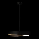 Превью фото №8  Подвесной светильник 10256P Black Подвесной светильник LOFT IT Petale
