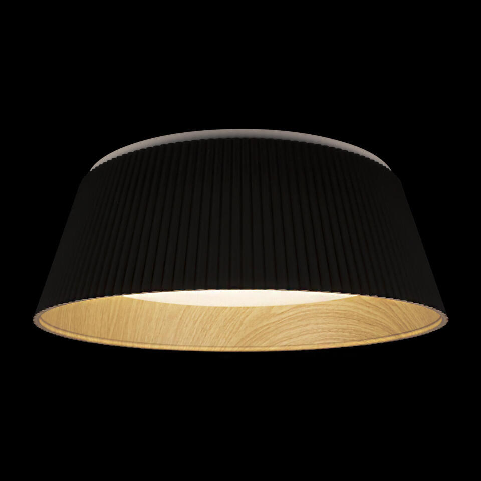 Фото №6  10224 Black Потолочный светильник LOFT IT Evans
