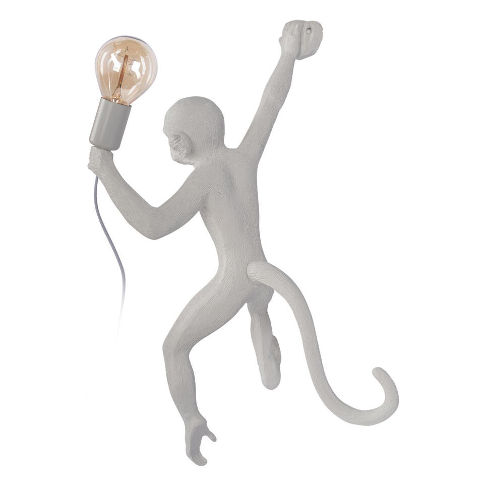 Фото №8  10314W/B Настенный светильник LOFT IT Monkey