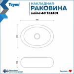 Превью фото №10  Раковина Teymi Раковина для ванной накладная Laina 48 белая T51301